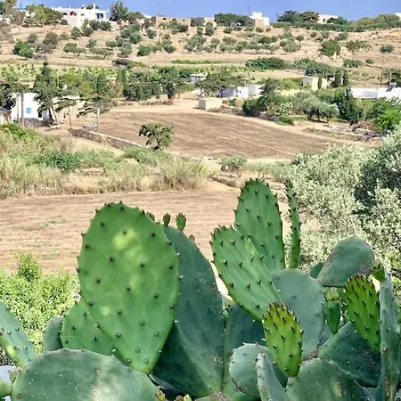 Alena Villa Parikia (Paros)